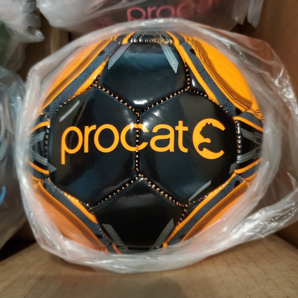 🌟SALE🌟 set of 4 - 18" mini procat soccer balls - Picture 2 of 3